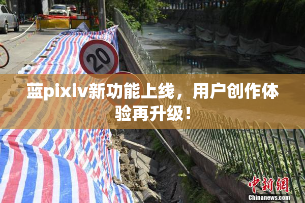 蓝pixiv新功能上线，用户创作体验再升级！