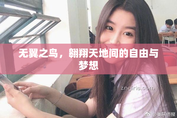 无翼之鸟，翱翔天地间的自由与梦想