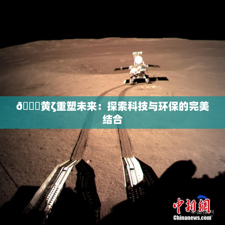 🔞黄ζ重塑未来：探索科技与环保的完美结合