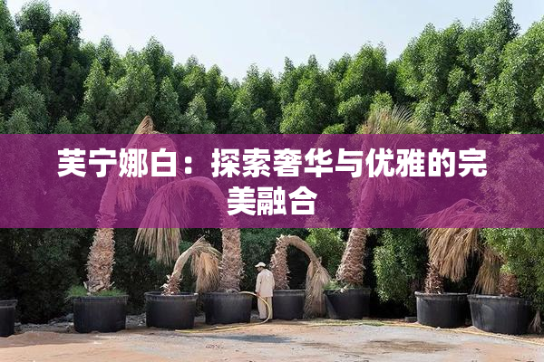 芙宁娜白：探索奢华与优雅的完美融合