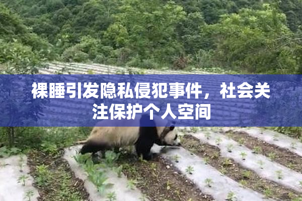 裸睡引发隐私侵犯事件，社会关注保护个人空间