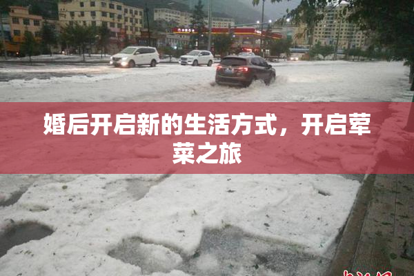 婚后开启新的生活方式，开启荤菜之旅