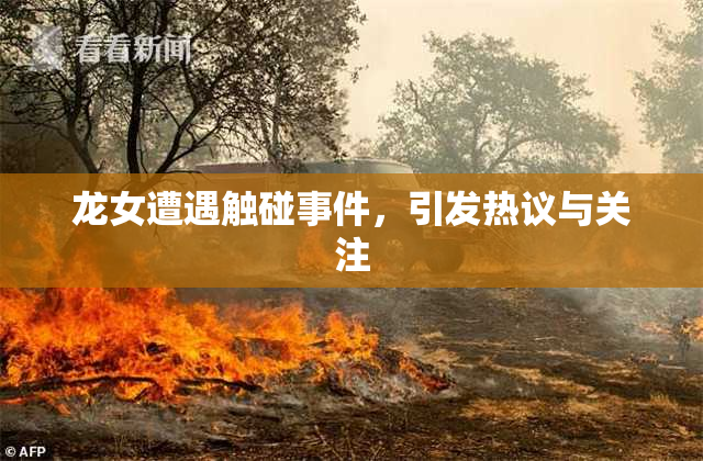龙女遭遇触碰事件，引发热议与关注