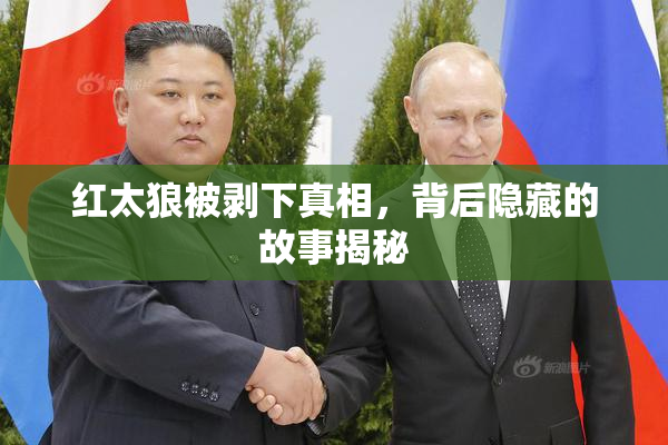 红太狼被剥下真相，背后隐藏的故事揭秘