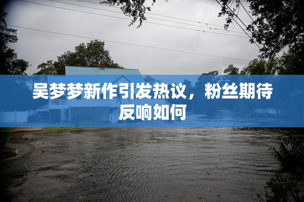 吴梦梦新作引发热议，粉丝期待反响如何