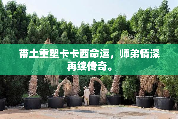 带土重塑卡卡西命运，师弟情深再续传奇。