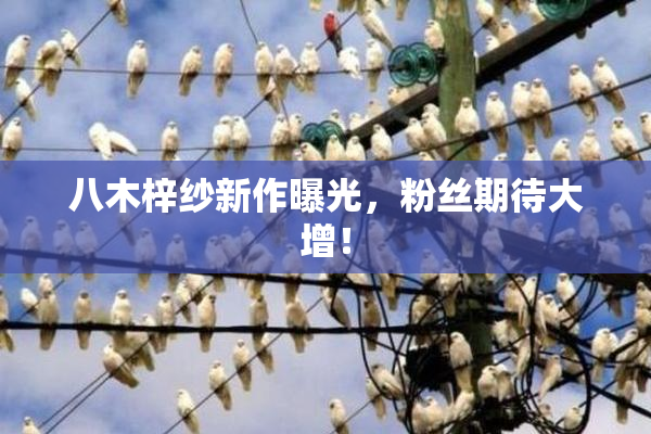 八木梓纱新作曝光，粉丝期待大增！