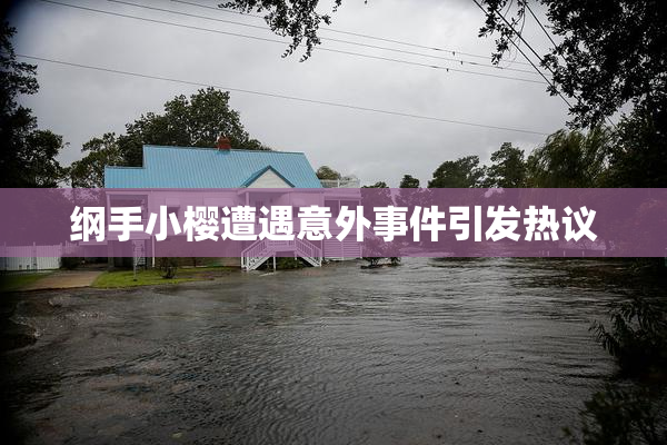 纲手小樱遭遇意外事件引发热议