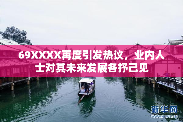 69XXXX再度引发热议，业内人士对其未来发展各抒己见