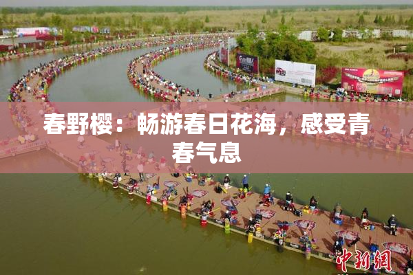 春野樱：畅游春日花海，感受青春气息