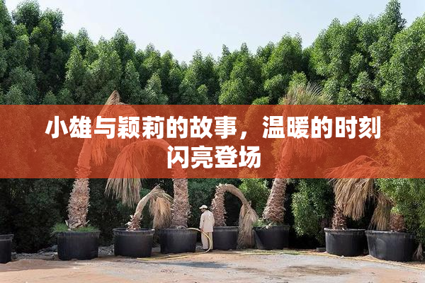 小雄与颖莉的故事，温暖的时刻闪亮登场