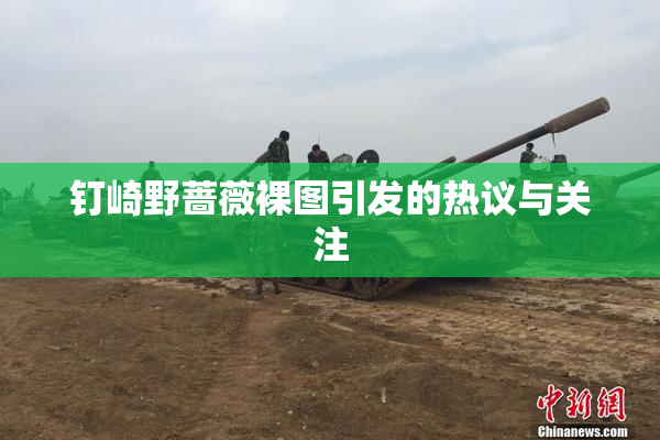 钉崎野蔷薇裸图引发的热议与关注