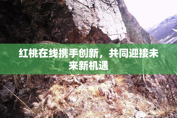红桃在线携手创新，共同迎接未来新机遇