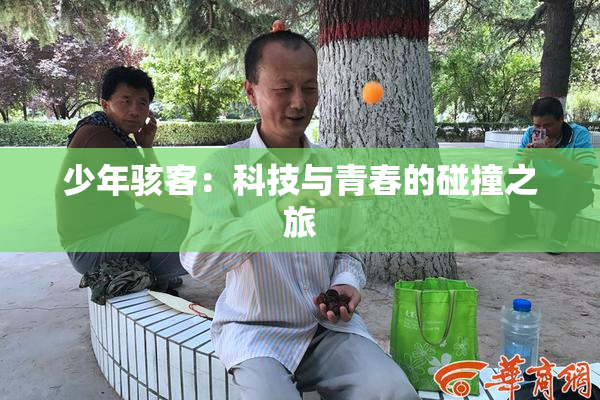 少年骇客：科技与青春的碰撞之旅
