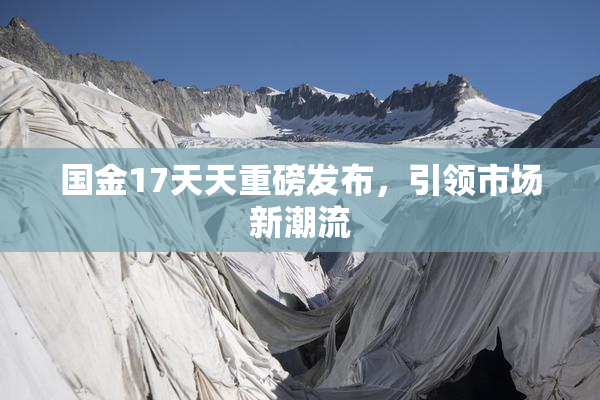 国金17天天重磅发布，引领市场新潮流