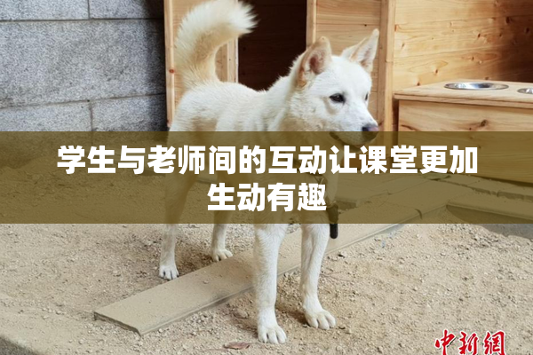 学生与老师间的互动让课堂更加生动有趣