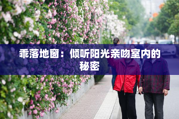 乖落地窗：倾听阳光亲吻室内的秘密