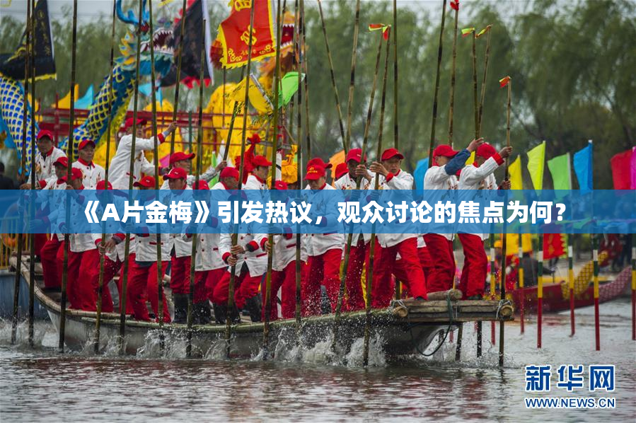 《A片金梅》引发热议，观众讨论的焦点为何？