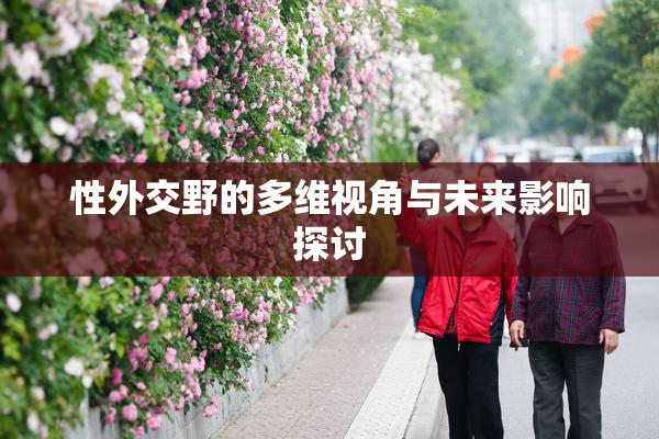 性外交野的多维视角与未来影响探讨