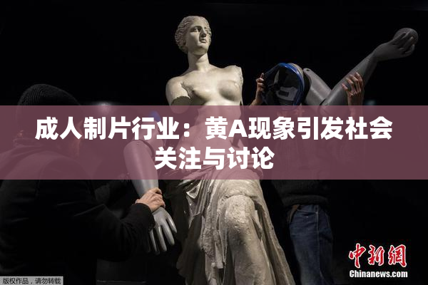 成人制片行业：黄A现象引发社会关注与讨论
