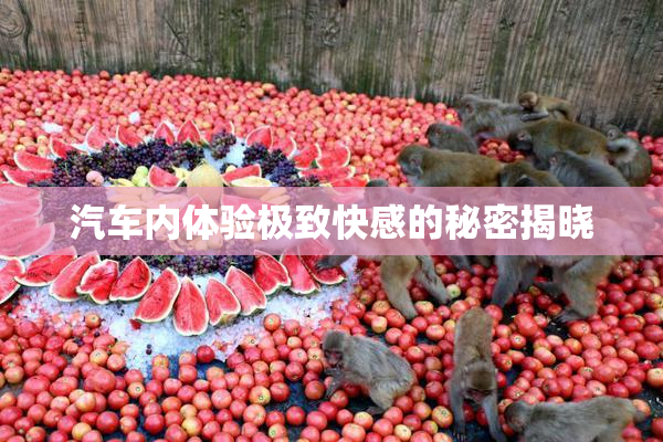 汽车内体验极致快感的秘密揭晓