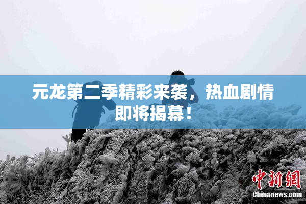 元龙第二季精彩来袭，热血剧情即将揭幕！