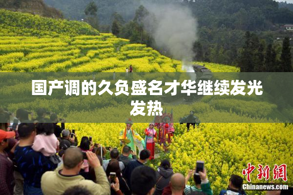 国产调的久负盛名才华继续发光发热