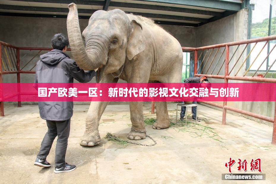 国产欧美一区：新时代的影视文化交融与创新