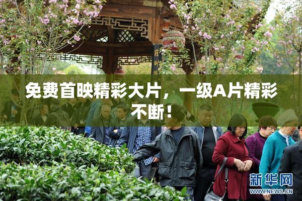 免费首映精彩大片，一级A片精彩不断！