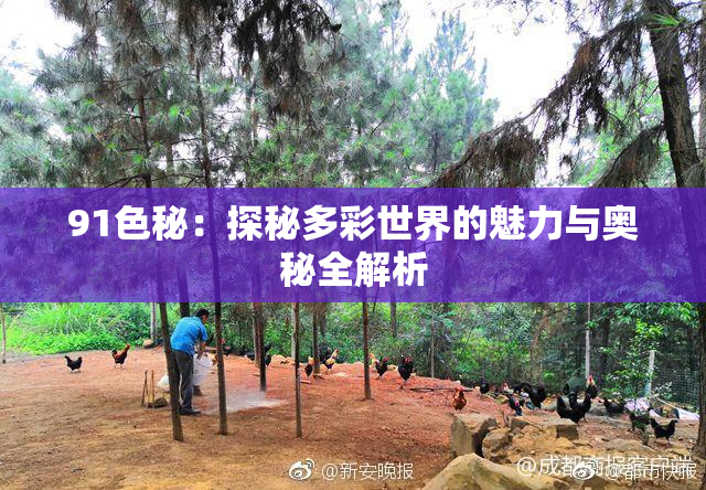 91色秘：探秘多彩世界的魅力与奥秘全解析