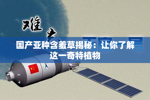 国产亚种含羞草揭秘：让你了解这一奇特植物