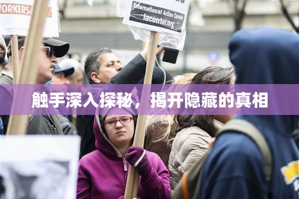 触手深入探秘，揭开隐藏的真相
