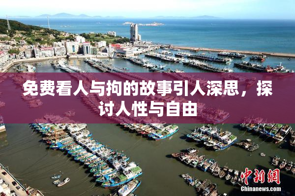 免费看人与拘的故事引人深思，探讨人性与自由