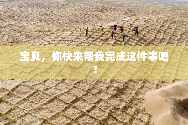 宝贝，你快来帮我完成这件事吧！