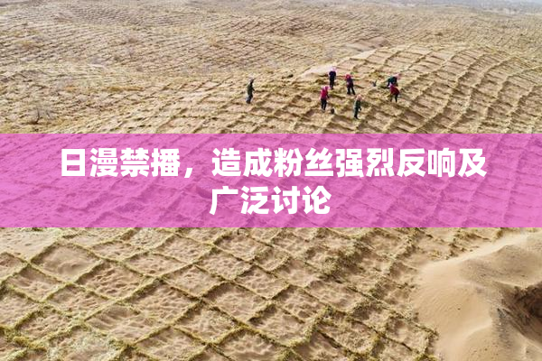 日漫禁播，造成粉丝强烈反响及广泛讨论