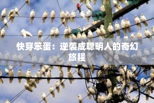 快穿笨蛋：逆袭成聪明人的奇幻旅程