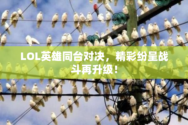 LOL英雄同台对决，精彩纷呈战斗再升级！