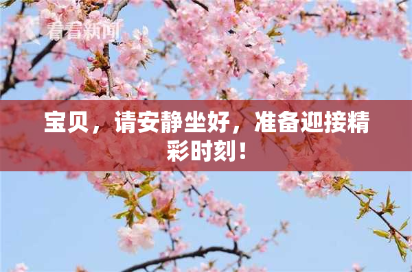 宝贝，请安静坐好，准备迎接精彩时刻！