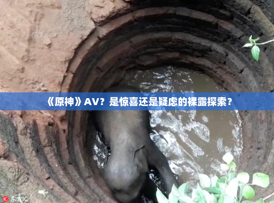 《原神》AV？是惊喜还是疑虑的裸露探索？