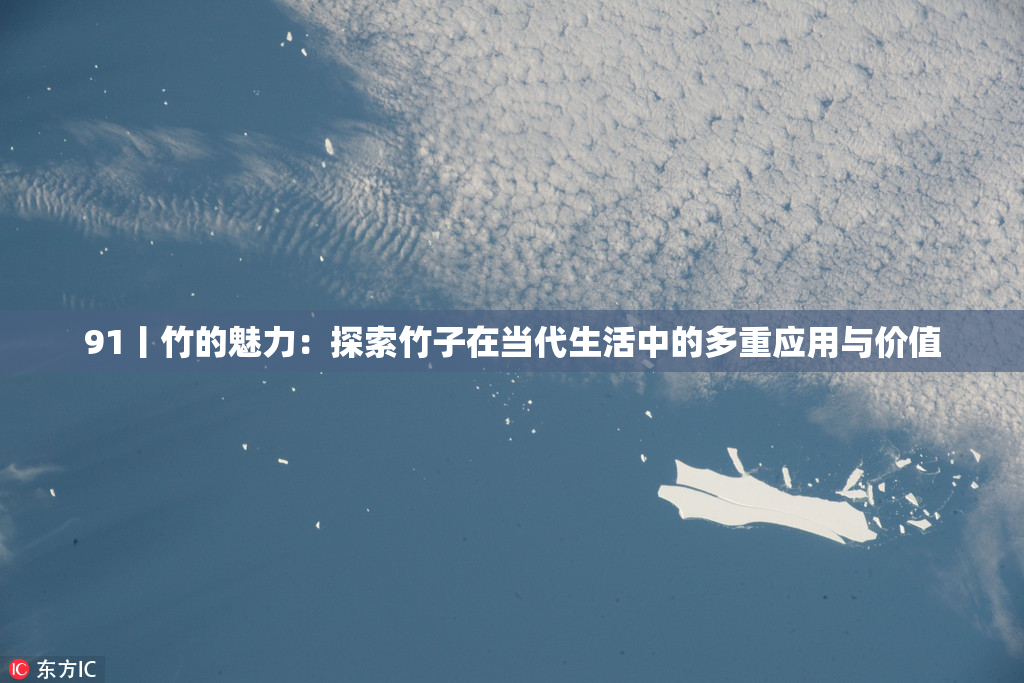 91丨竹的魅力：探索竹子在当代生活中的多重应用与价值