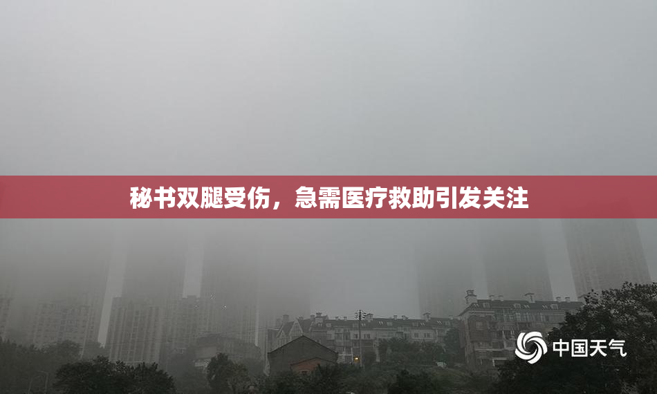 秘书双腿受伤，急需医疗救助引发关注