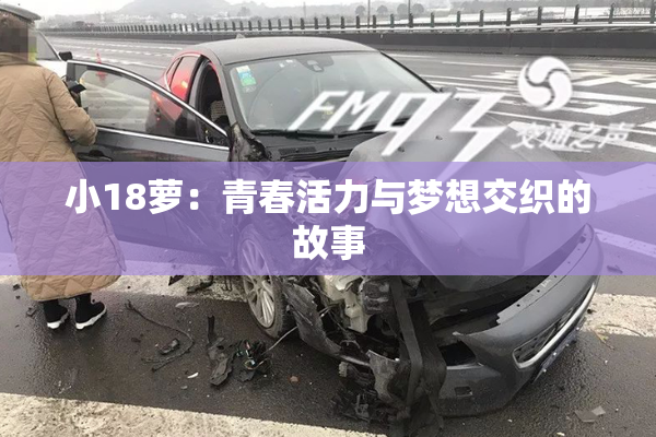 小18萝：青春活力与梦想交织的故事