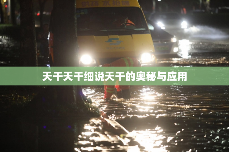 天干天干细说天干的奥秘与应用