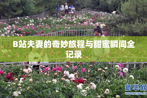 B站夫妻的奇妙旅程与甜蜜瞬间全记录