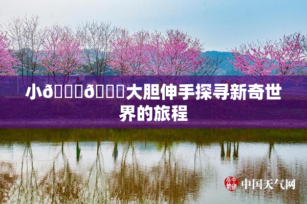 小🐔🐔大胆伸手探寻新奇世界的旅程