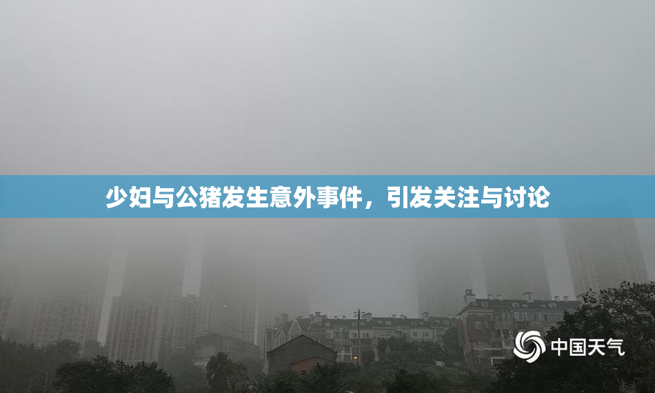 少妇与公猪发生意外事件，引发关注与讨论