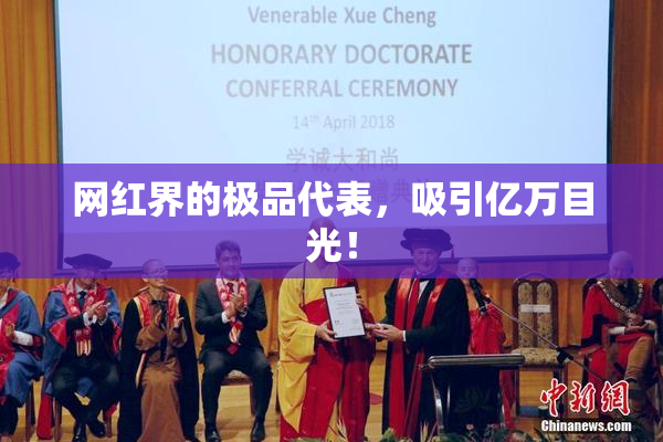 网红界的极品代表，吸引亿万目光！