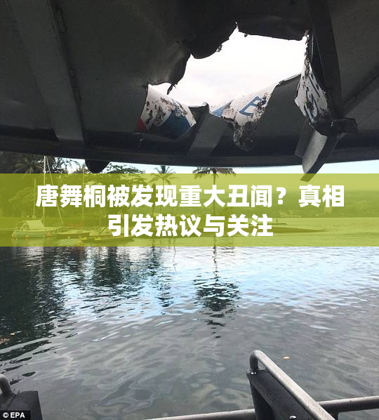 唐舞桐被发现重大丑闻？真相引发热议与关注