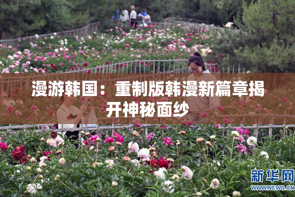 漫游韩国：重制版韩漫新篇章揭开神秘面纱