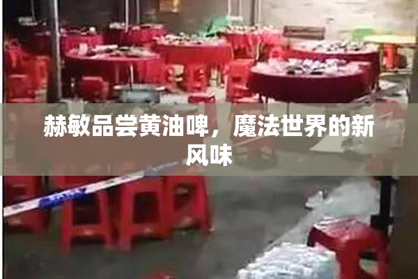 赫敏品尝黄油啤，魔法世界的新风味